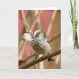 Cartão Long Tailed Tit with feather