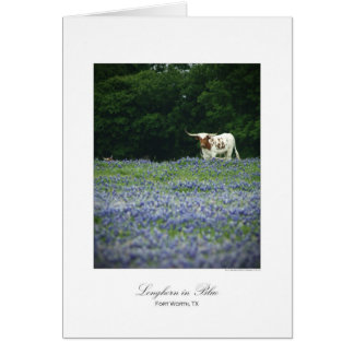 Cartão Longhorn em azul