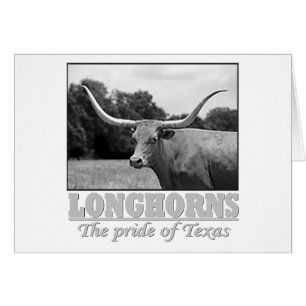 Cartão longhorn_pride