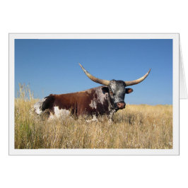 Cartão Longo Corno