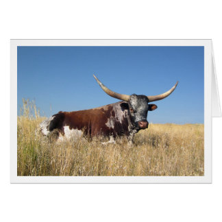 Cartão Longo Corno