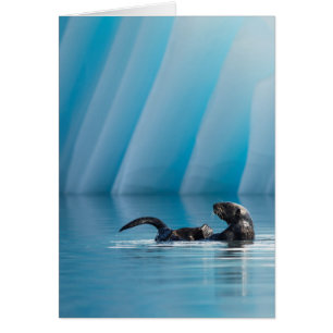 Cartão Lontra marítima lúdica