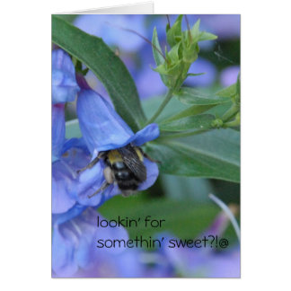 Cartão lookin para algo doce??