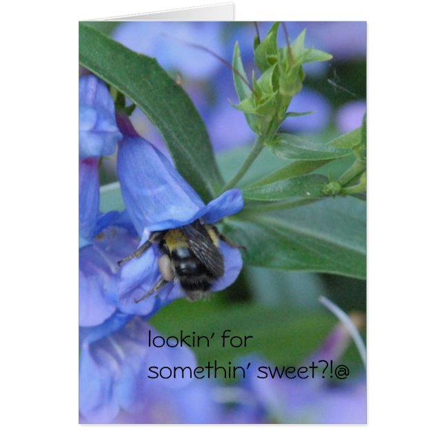 Cartão lookin para algo doce?? (Frente)