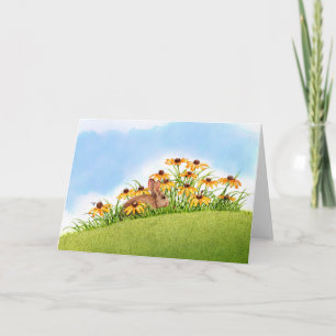 Cartão Looking at Ladybugs