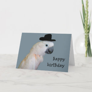 Cartão Looking Good