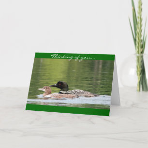 Cartão Loon and baby - thinking of you