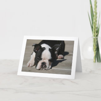 Cartão Lotas de Howie