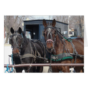 Cartão Lote de Estacionamento de Cavalo