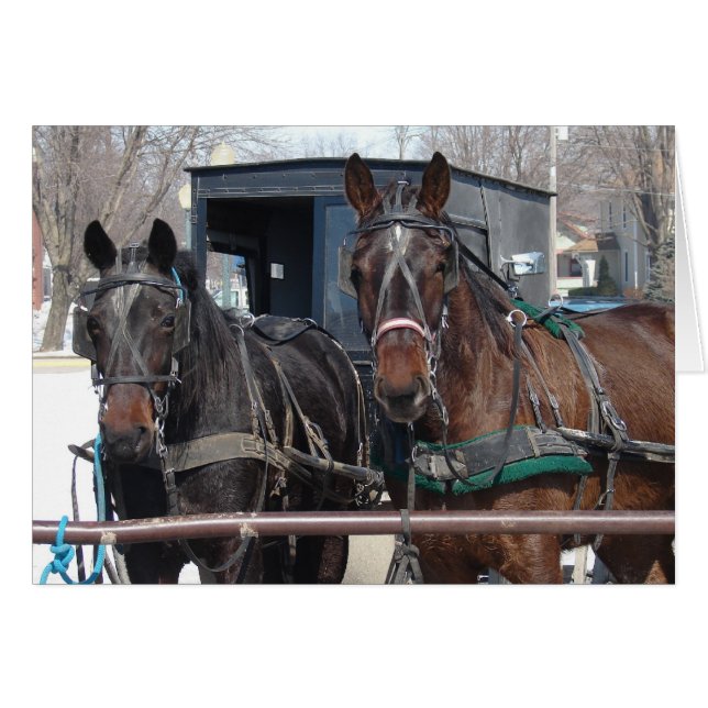Cartão Lote de Estacionamento de Cavalo (Frente Horizontal)