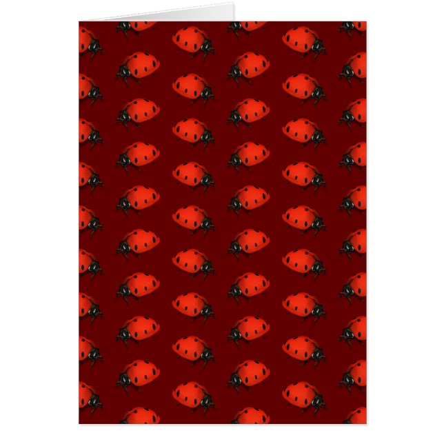 Cartão Lote De Ladybugs (Frente)