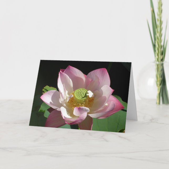 Cartão Lotus (Frente)