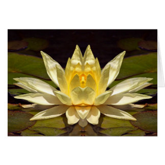 Cartão Lotus1 aumentado