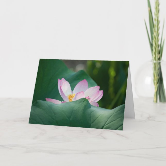 Cartão Lotus #2525 (Frente)