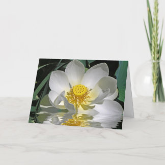 Cartão Lotus Branco