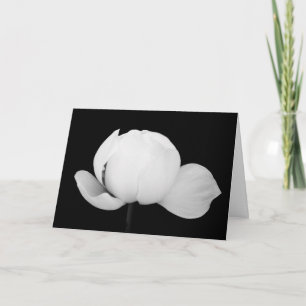 Cartão Lotus Bud