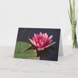 Cartão Lotus cor-de-rosa