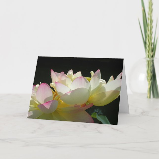 Cartão Lotus Dançado (Frente)