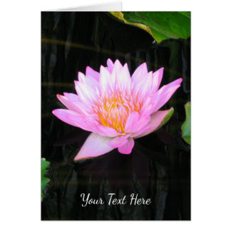 Cartão Lotus Waterlily Rosa