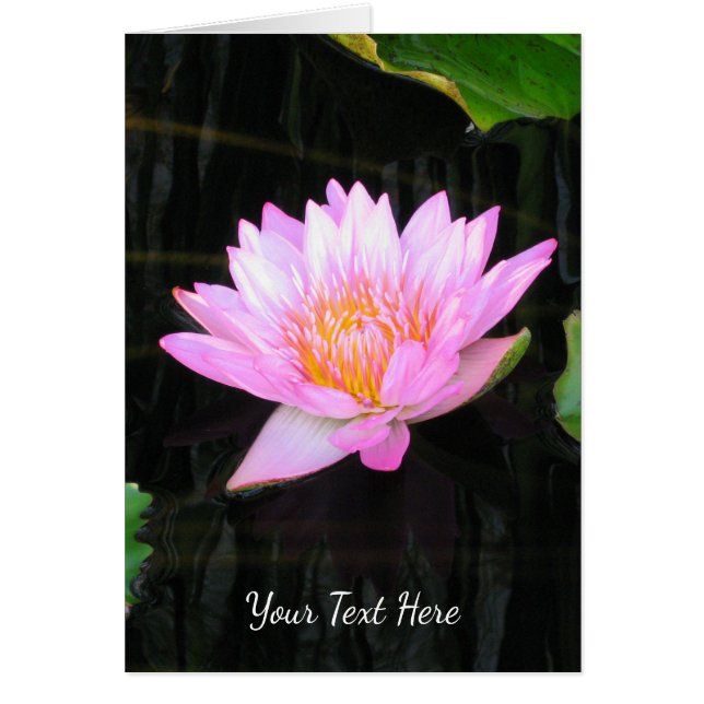 Cartão Lotus Waterlily Rosa (Frente)