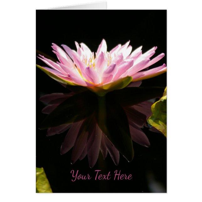 Cartão Lotus Waterlily Rosa (Frente)