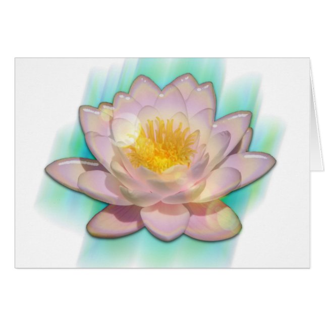 Cartão Lotusbloom (Frente Horizontal)