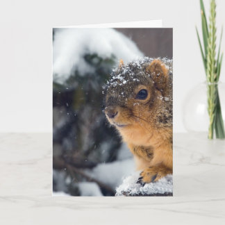 Cartão Loucos Congelados ficam bem em breve