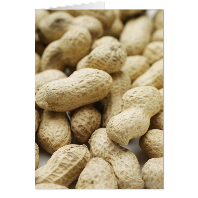 Cartão Loucos de macacos. (Frente)