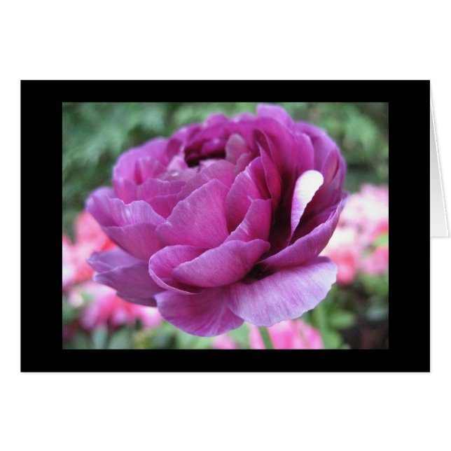 Cartão Loucura marrom (Frente horizontal)