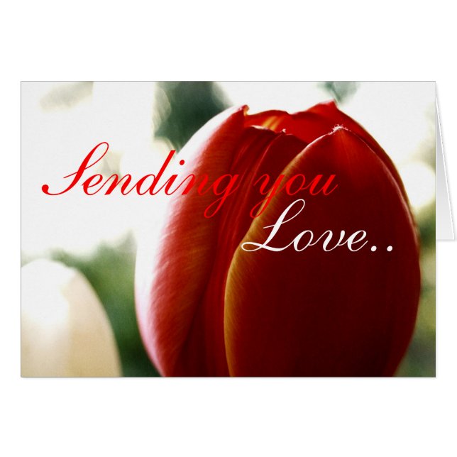 Cartão Love Red Tulip Card (Frente Horizontal)