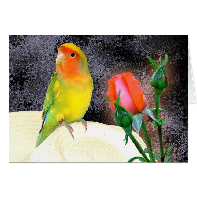 Cartão Lovebird ensolarado (Frente Horizontal)