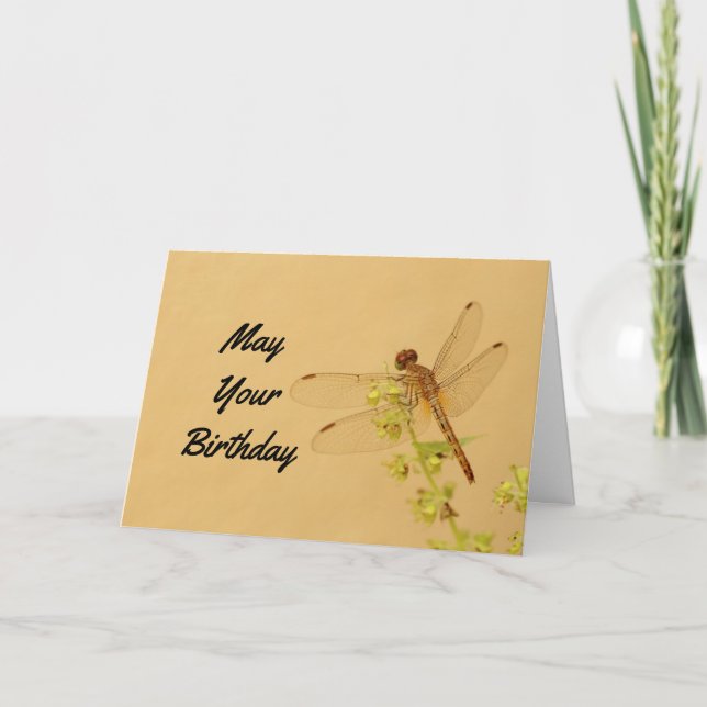 Cartão Lovely Dragonfly Birthday (Frente)