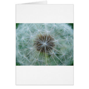 Cartão Löwenzahnmuster