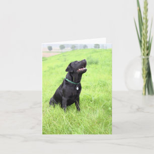 Cartão LR preto sentado