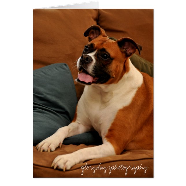 Cartão Lucie Monroe (Frente)