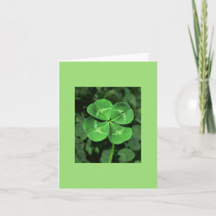 Cartão LUCKY FOUR-LEAF CLOVER Blank Note Card