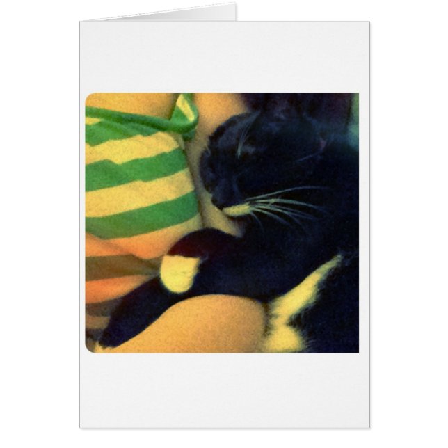 Cartão Lucy's Snuggles (Frente)