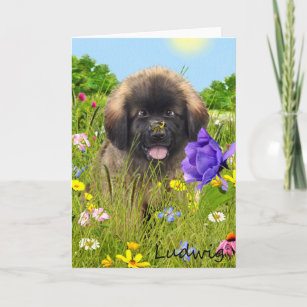 Cartão Ludwig the Leonberger Puppy Greeting Card