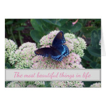 Lugares Desafiadores da Borboleta Emergente