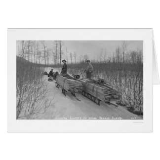 Cartão Lumber Dog Seward, Alasca 1917