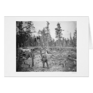 Cartão Lumberjacks no Alasca 1916
