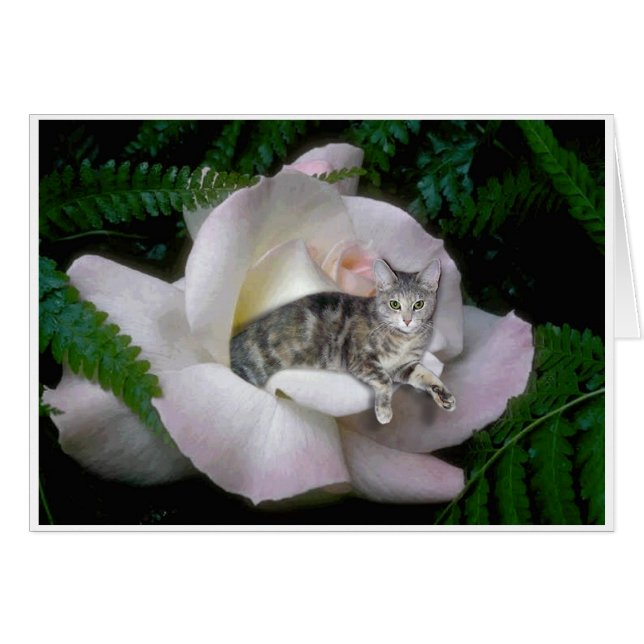 Cartão Luna aumentou (Frente Horizontal)