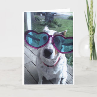 Cartão Luna diz "o dia mau do cabelo? Obtenha uns vidros