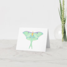 Luna Moth