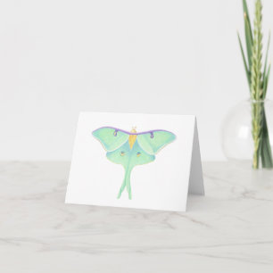 Cartão Luna Moth