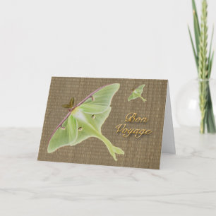 Cartão Luna Moth Bon Voyage Card
