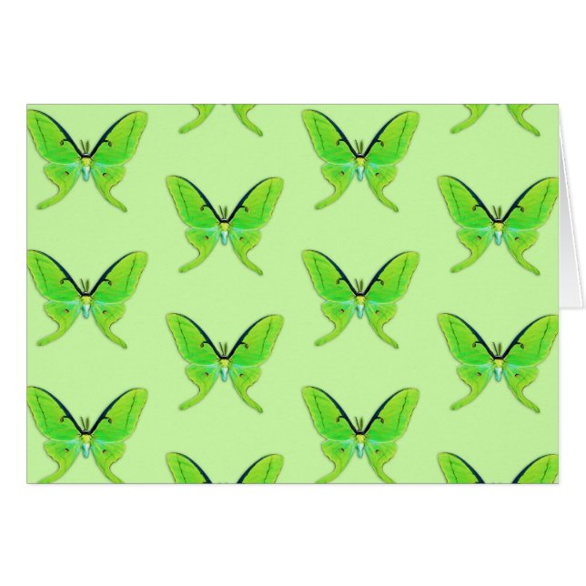 Cartão Luna moth com um fundo verde pálido (Frente horizontal)