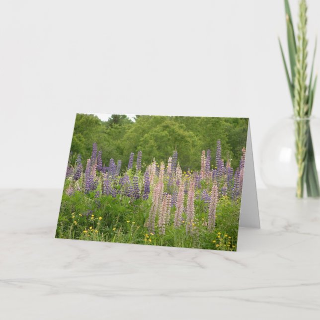 Cartão Lupine (Frente)