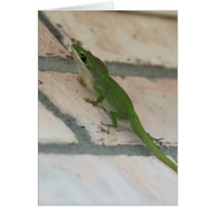 Cartão Lurking Green Lizard