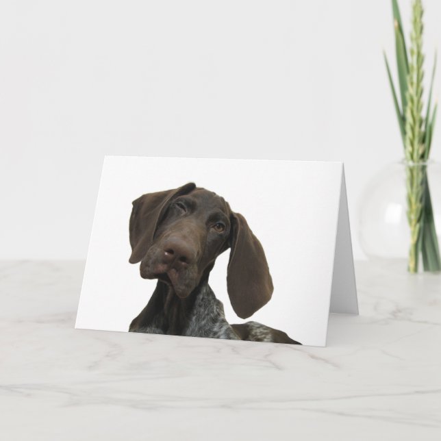 Cartão lustroso do urso (Frente)